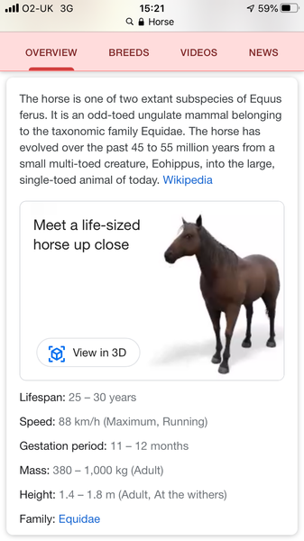Google “Horse” right now