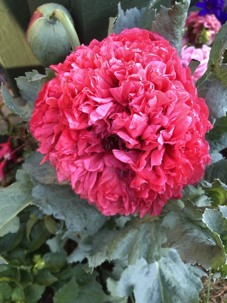 Please identify this for me