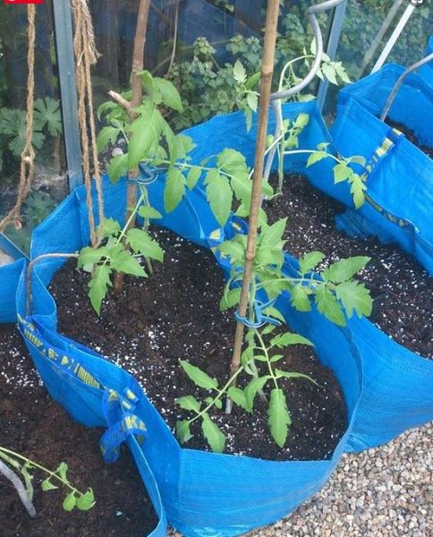 Grow bag splitting - upset
