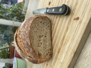 Calling sourdough starter experts!