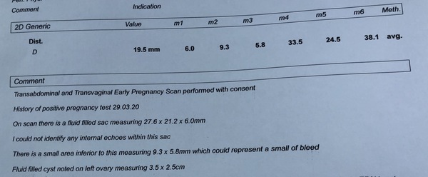 Confused - Blighted Ovum / MMC
