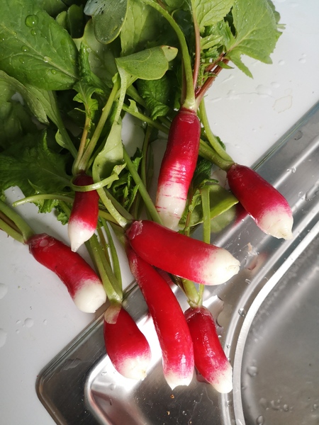 Jan '20 - Low Carb Bootcamp - The finish line!