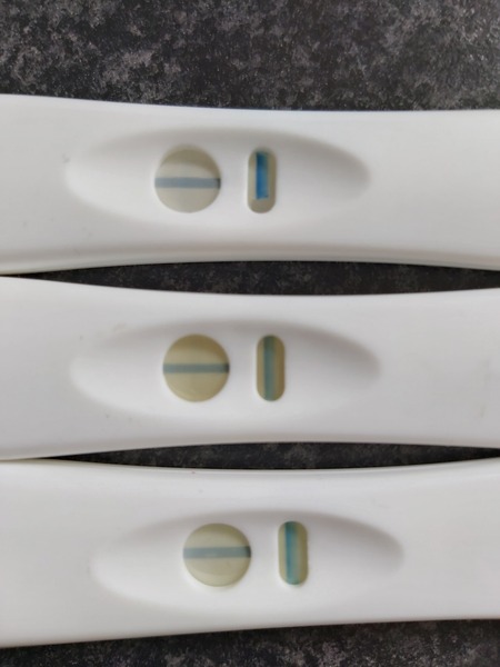 Pregnancy