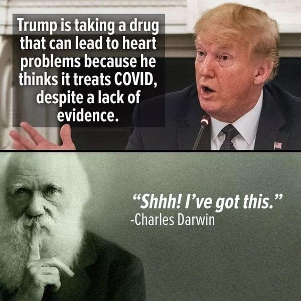 Westministenders: Reployed back to No Deal Planning