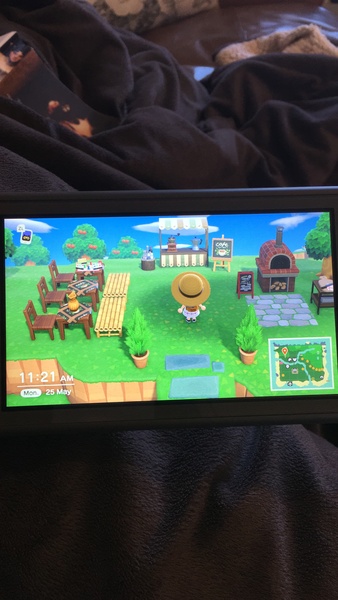 Animal Crossing Newbie- what do I need to know?