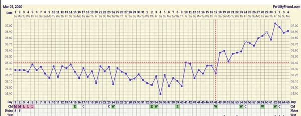 BBT chart/17dpo HELP ME!!!