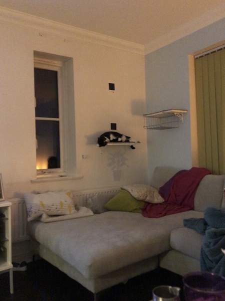 Cat tree