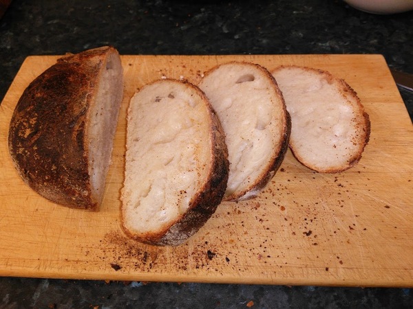 Calling sourdough starter experts!