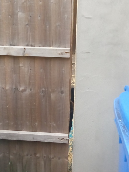 Neighbours send rottweiler out when my asd child plays!
