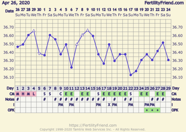 Catching up - ttc after miscarriage part 3