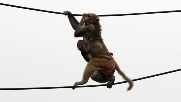 Westministenders: The Truth Isn't A Made Up Concept