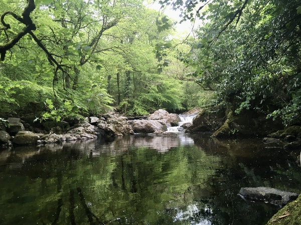 Any Witches Here? Part 11