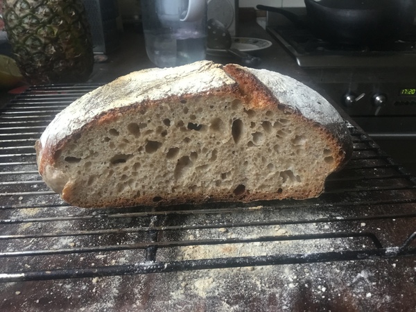 Calling sourdough starter experts!
