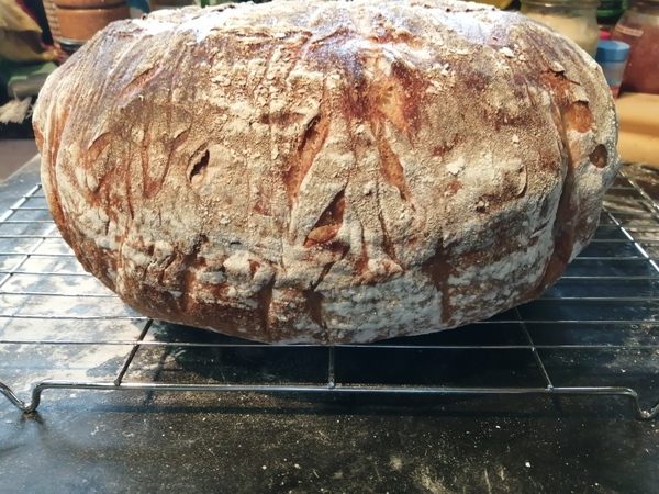 Frugal Foodies, thread 3! Favourite leftover dishes, avoiding waste, menu ideas. Plus pets, and other chat.
