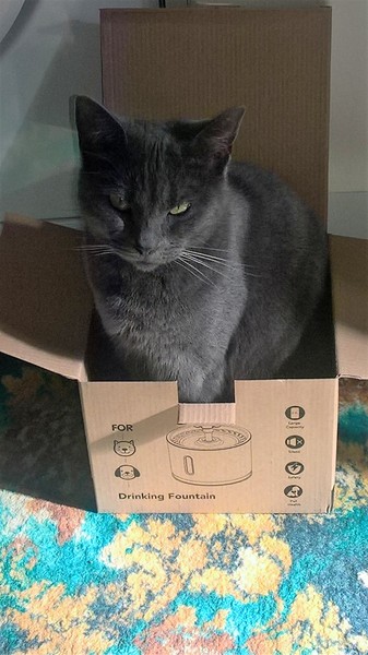 What's your DCat up to today? (Thread 7!)