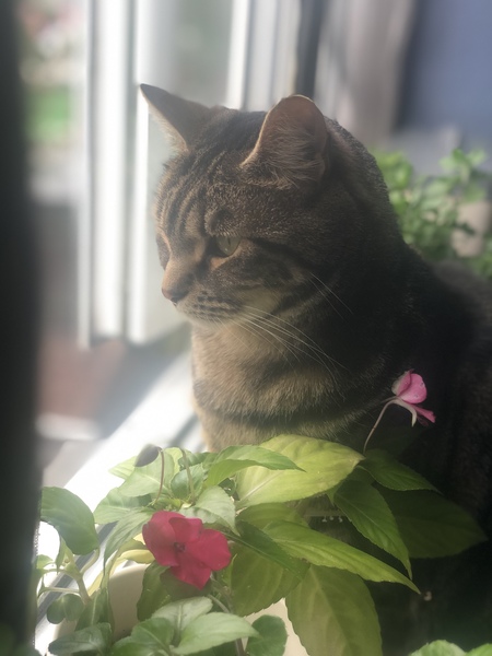 What's your DCat up to today? (Thread 7!)