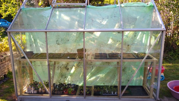 2020 new Gardeners’  thread