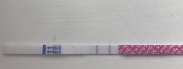 Catching up - ttc after miscarriage part 3