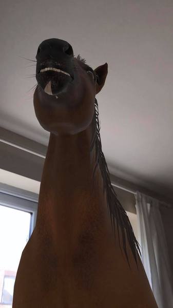 Google “Horse” right now