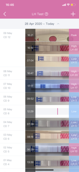 TTC after miscarriage - May 2020