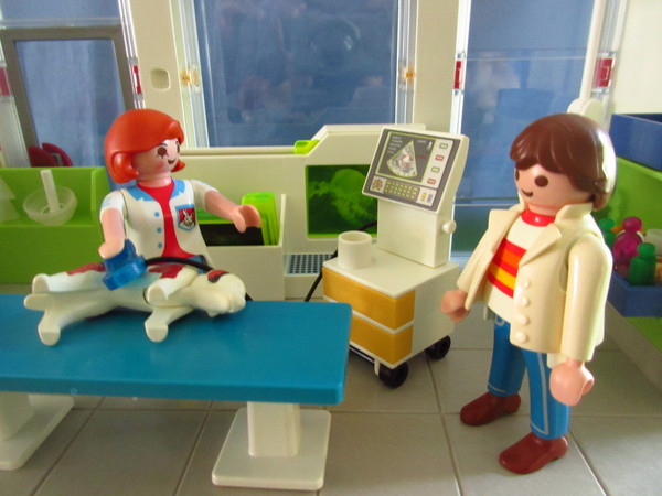 Playmobil pandemic in our house part 2
