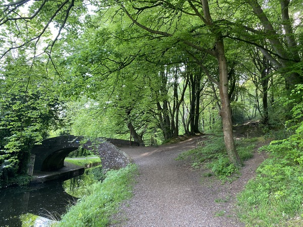 Can I ask those who are walking what do you see on your everday walk?