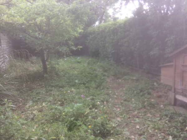 Stoping weeds/what to do with an old bit of land