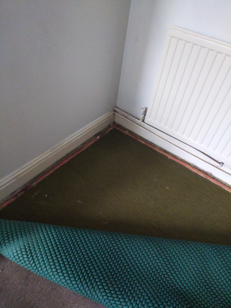 Help - damp!