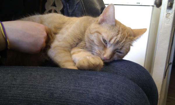 Clicking on posters' pictures