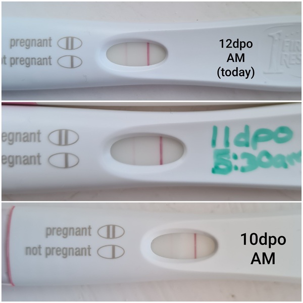 January 2021 Babies!