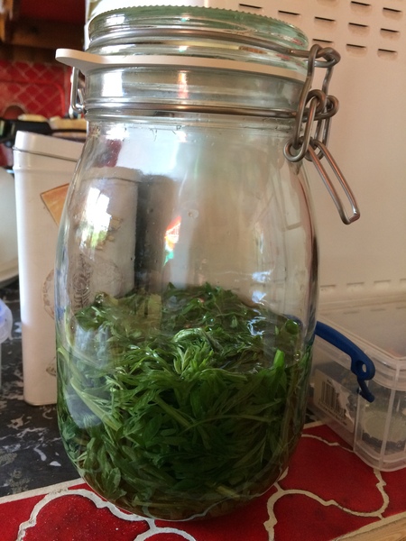 Any Witches Here? Part 11