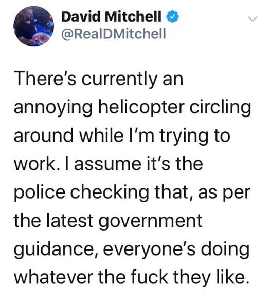 Westminstenders: Magical Thinking