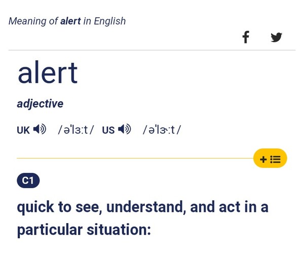 What does STAY ALERT mean to you?