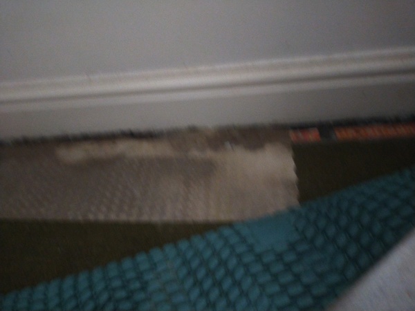 Help - damp!