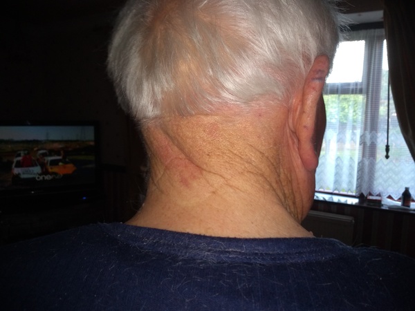 April Amigos Accounting Achievements and Adaptability