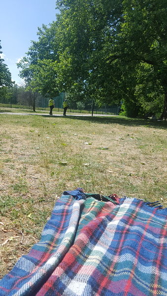 Family member invited me for a picnic then asked me to provide the food, CF or not?