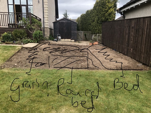Advice regarding planting needed.