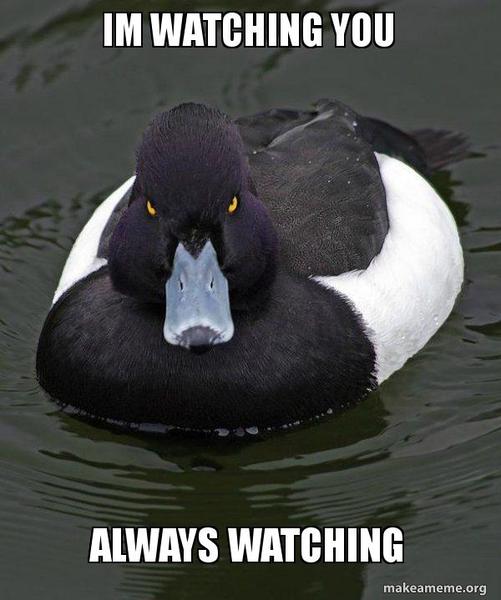 Unusual fears and phobias?