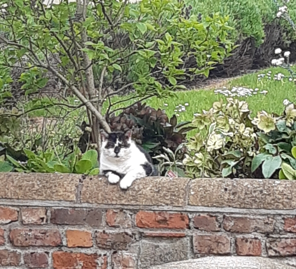 What's your DCat up to today? (Thread 7!)