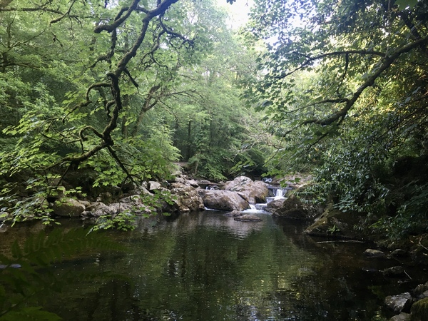 Any Witches Here? Part 11