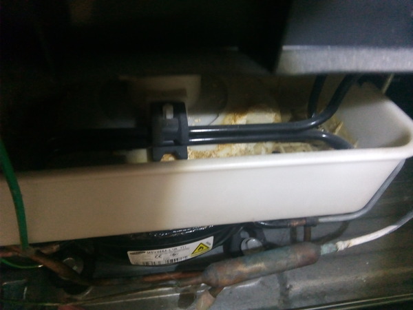 Is this causing the repulsive smell?