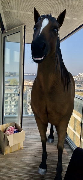 Google “Horse” right now