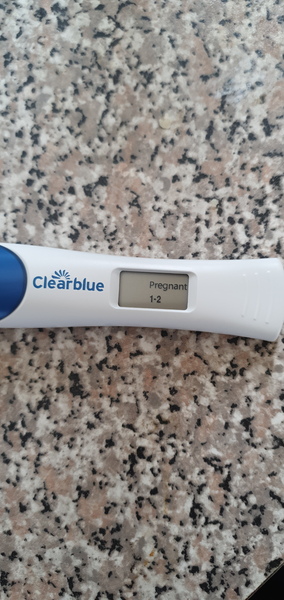 The May Group Graduates. RING HOOP BULLET.