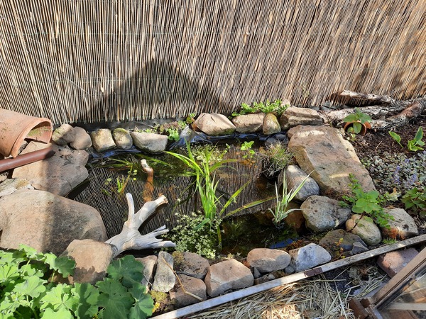 Show me your garden ponds large and small please!