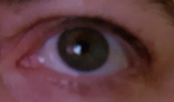 Properly violet or green eyes?