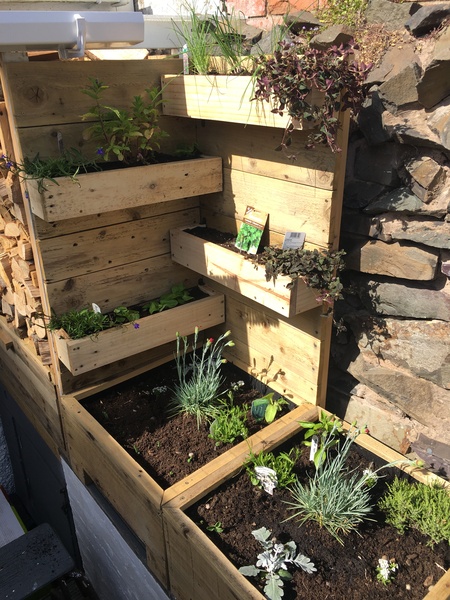 Creating a herb garden