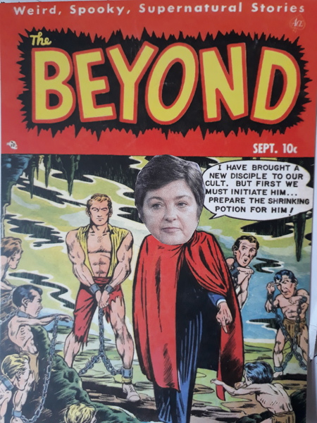 feminist movement is a cult that grooms, controls and abuses, according to a lesbian who managed to escape - Amy Dyess