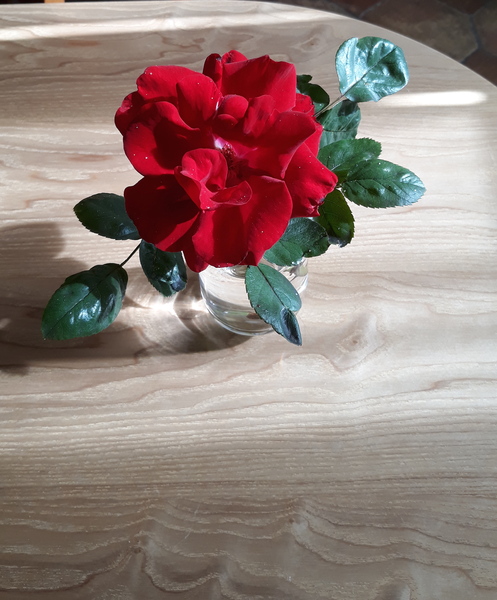 Westminstenders: No pubs till Christmas?