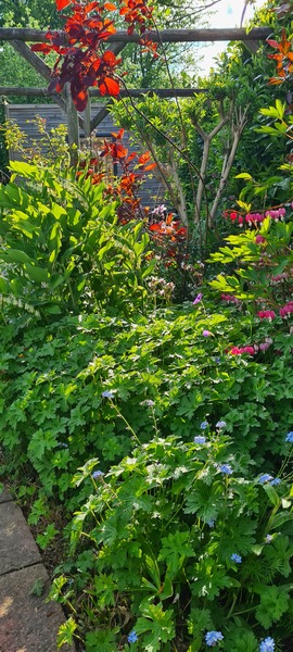 Westminstenders: Following the EU lead