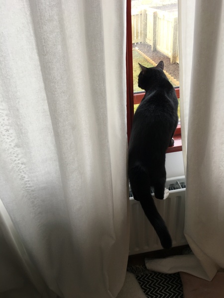 The cafe is still open...